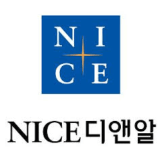 NICE디엔알 로고